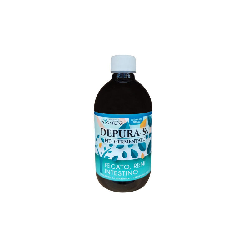 SIRINGA 50ML PIC